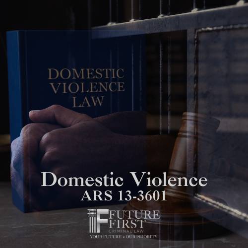 Blog Domestic Violence Future First Criminal Law