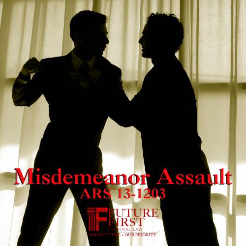 ARS13 1203 Misdemeanor Assault