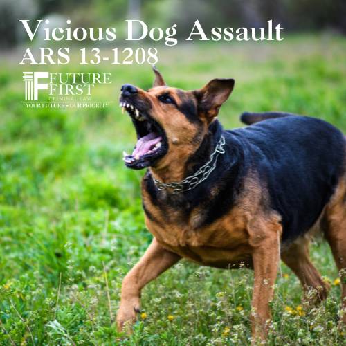 Blog Vicious Dog Asault